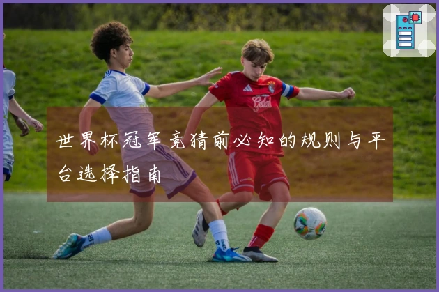 世界杯冠军竞猜前必知的规则与平台选择指南