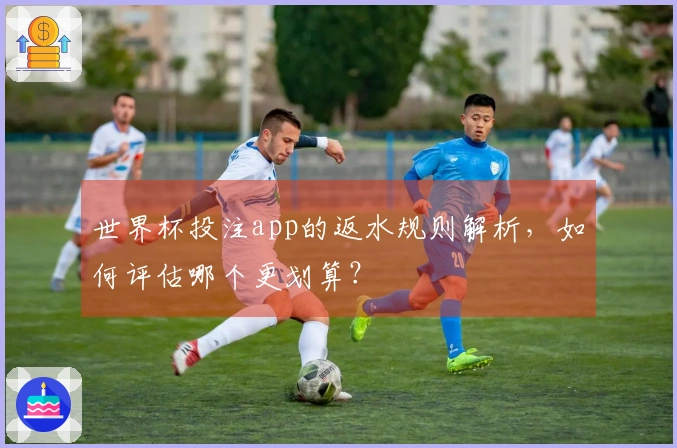 世界杯投注app的返水规则解析,如何评估哪个更划算?