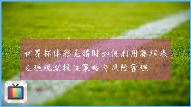 世界杯体彩竞猜时如何利用赛程表合理规划投注策略与风险管理