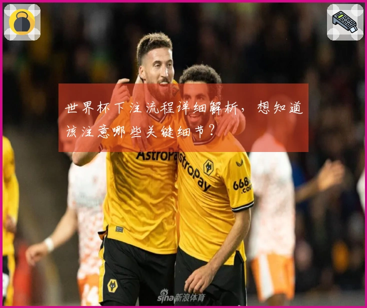 世界杯下注流程详细解析，想知道该注意哪些关键细节？