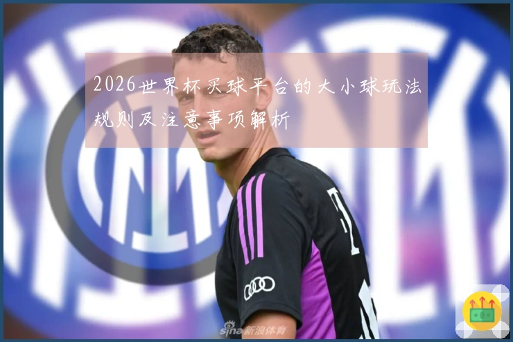 2026世界杯买球平台的大小球玩法规则及注意事项解析